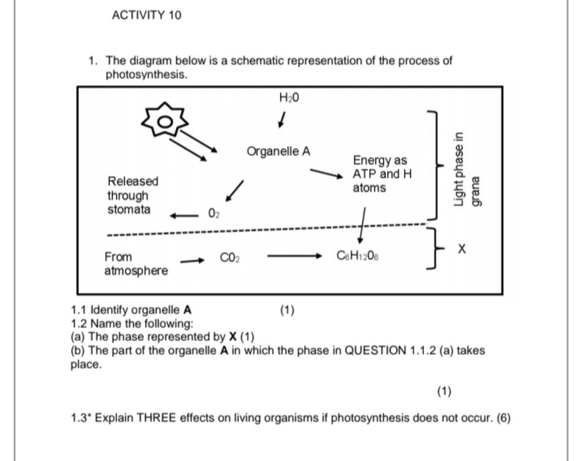 10 diagrams and schematics are representations of a