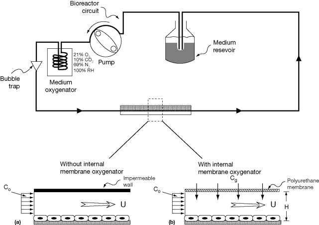 bioreactor schematic diagram