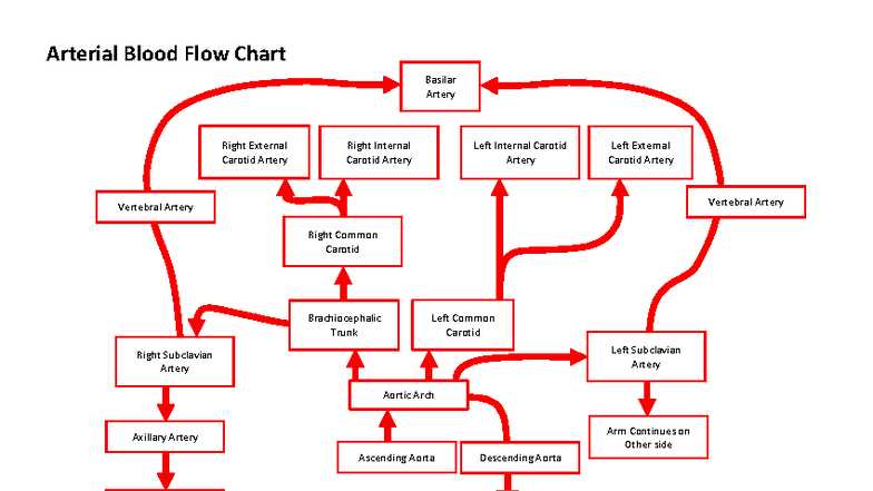 complete the schematic diagram of arterial blood distribution
