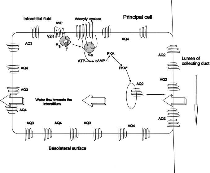 gate end box circuit diagram