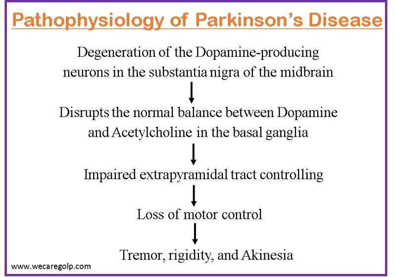 parkinsons disease pathophysiology schematic diagram