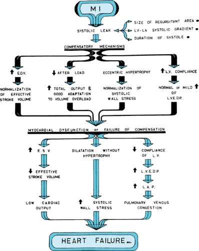 pathophysiology of rheumatic heart disease in schematic diagram