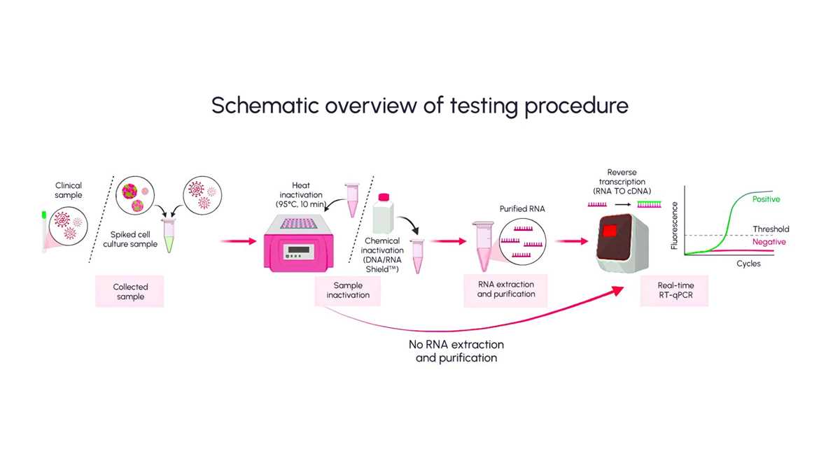 pcr schematic diagram