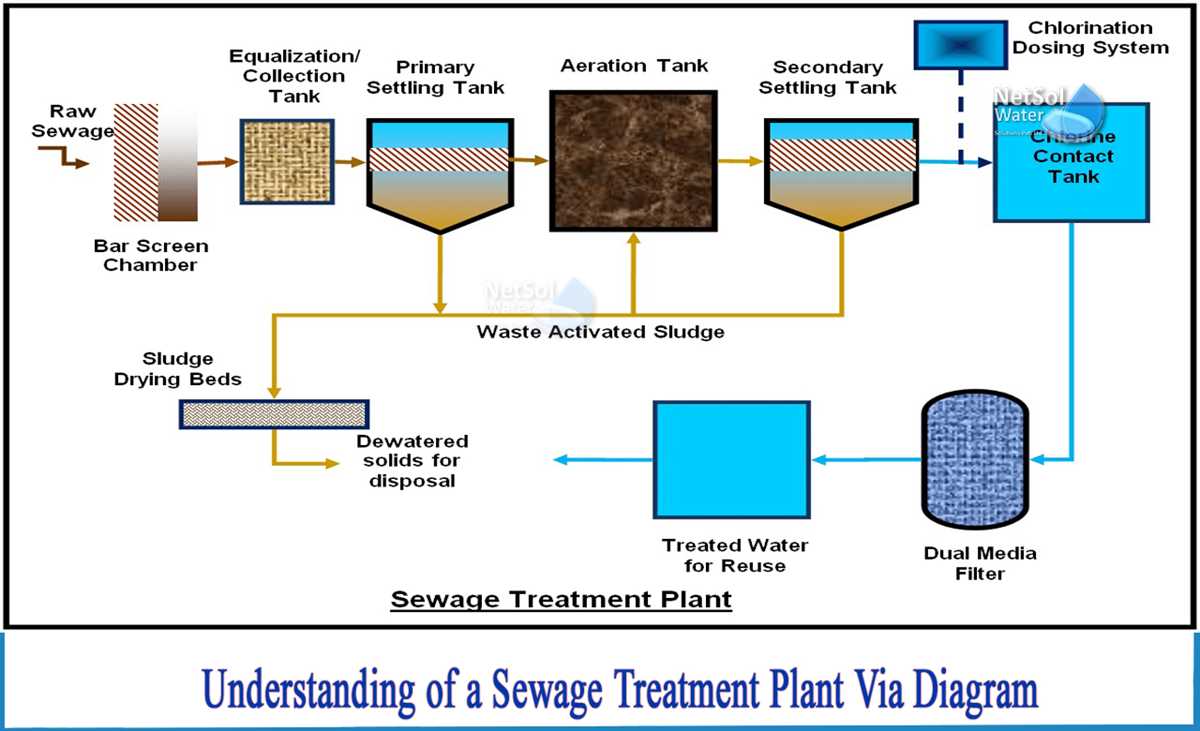 plant schematic diagram