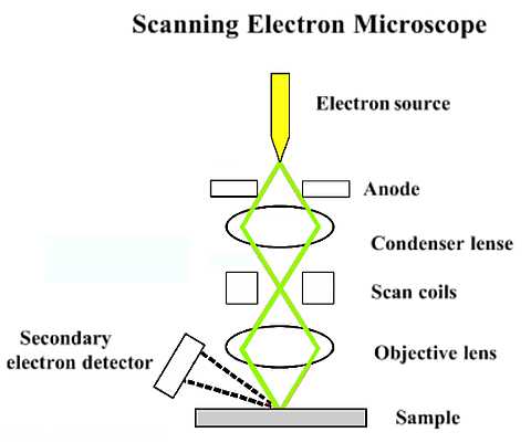 schematic diagram for sem