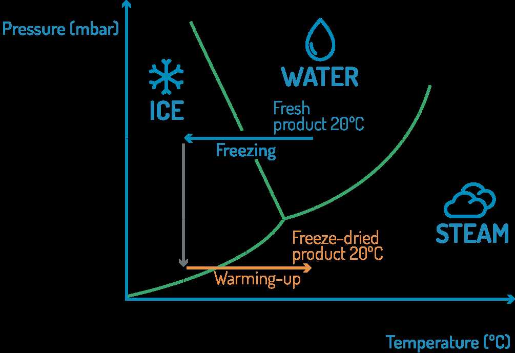 schematic diagram of freeze dryer