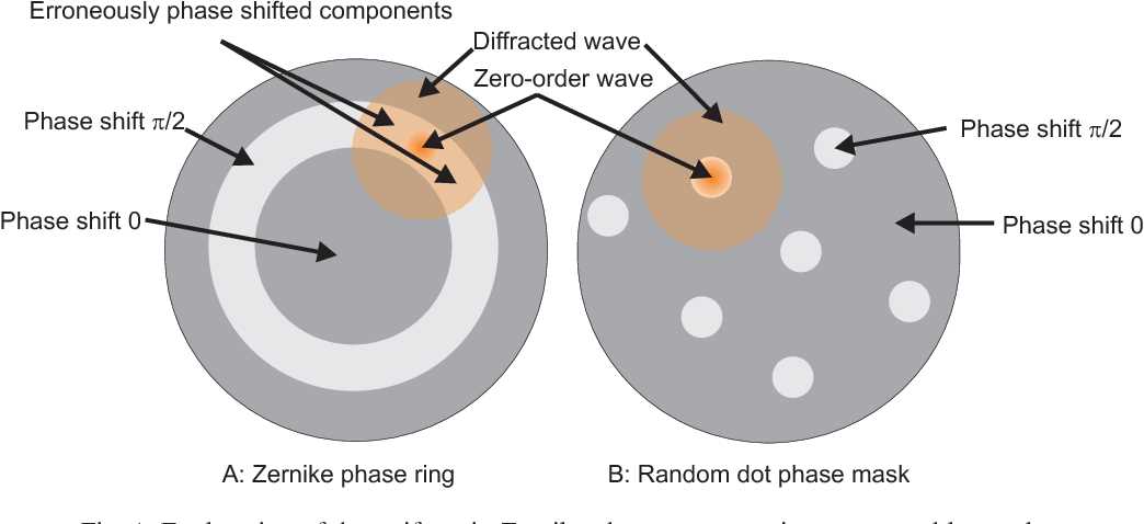 schematic diagram of phase contrast microscopy