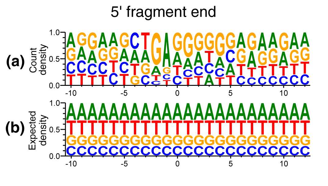 schematic diagram of rna sequencing