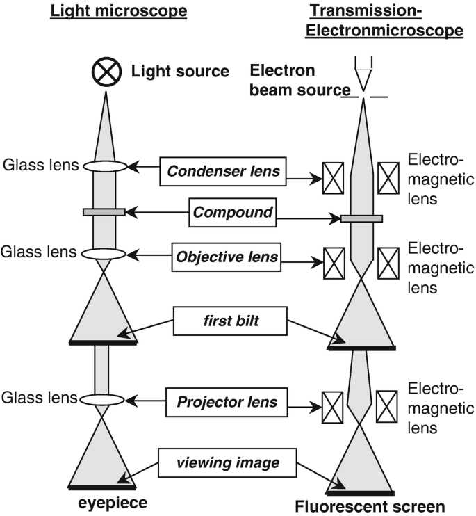 schematic diagram of tem