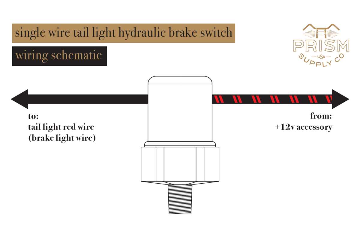wiring diagram single light switch