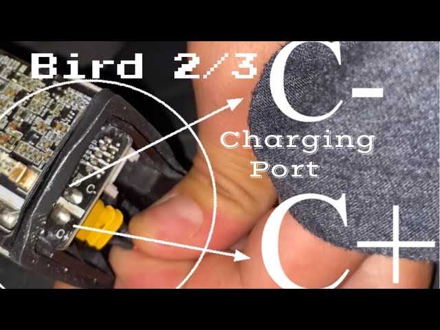 bird scooter wiring diagram