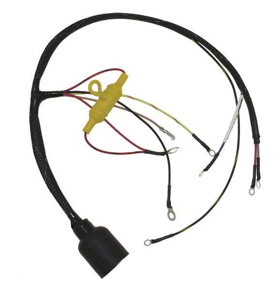 1973 evinrude 50 hp wiring diagram