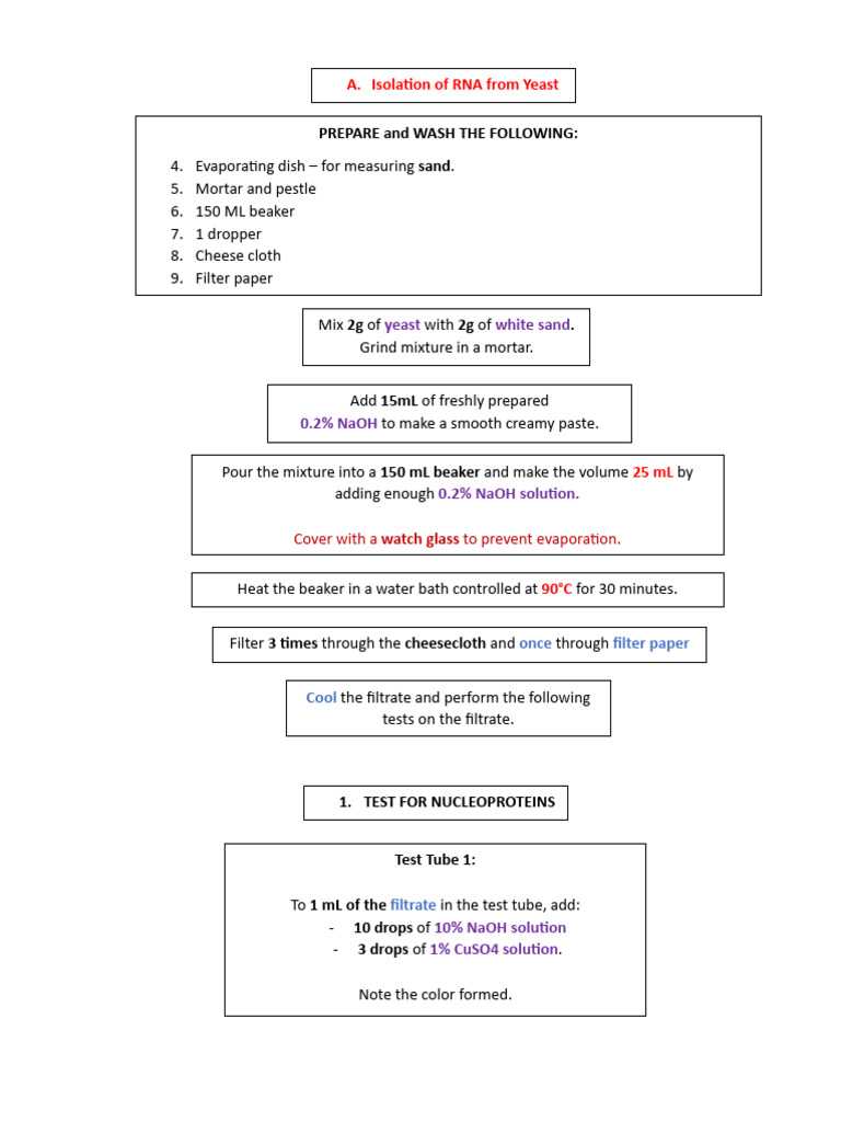 schematic diagram for the preparation of rna from yeast