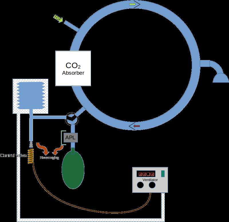 anesthesia circuit diagram