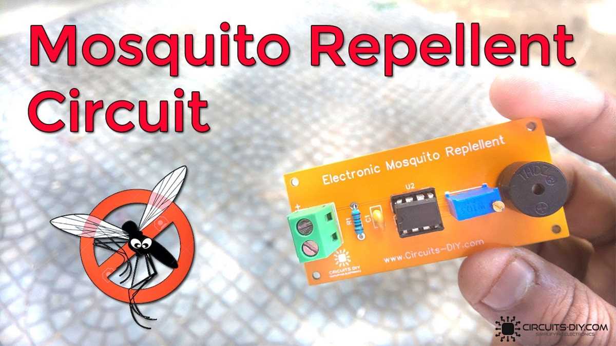 insect killer schematic diagram