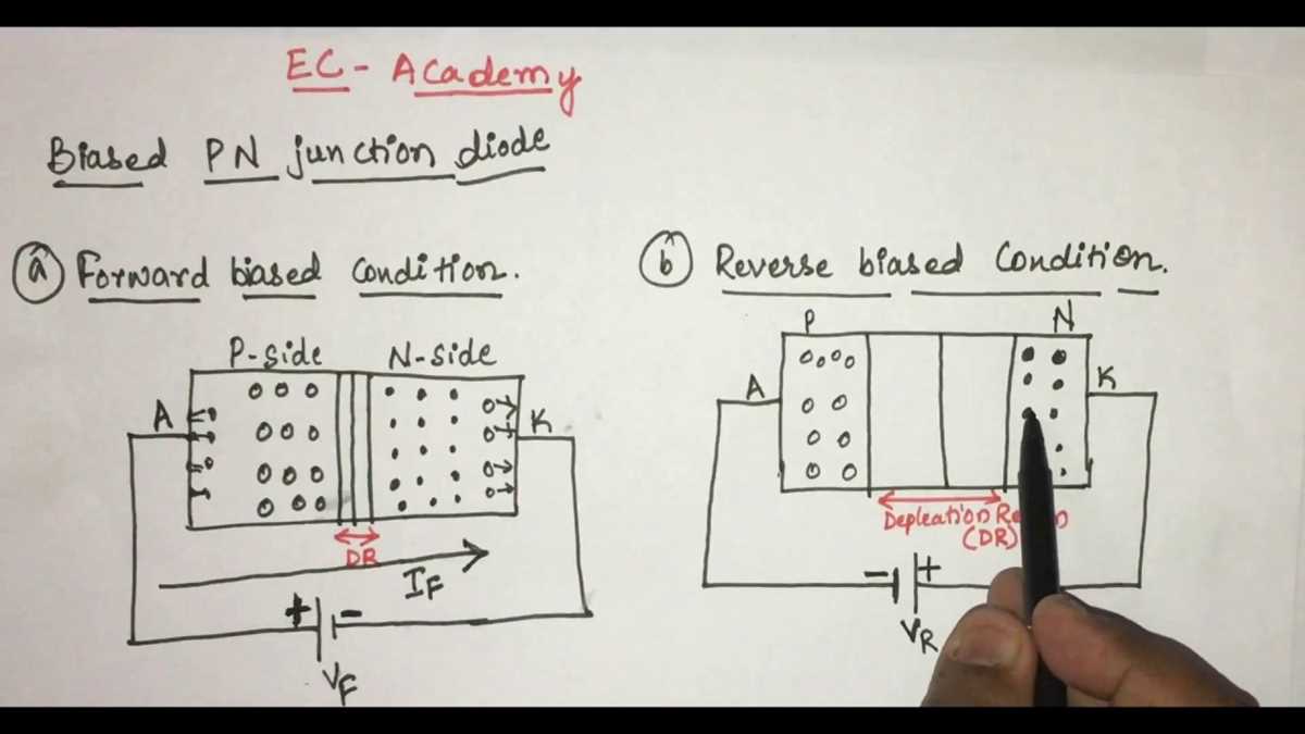reverse bias circuit diagram