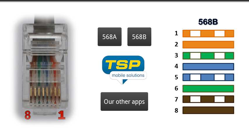 wiring diagram for ethernet plug