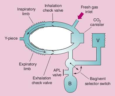anesthesia circuit diagram