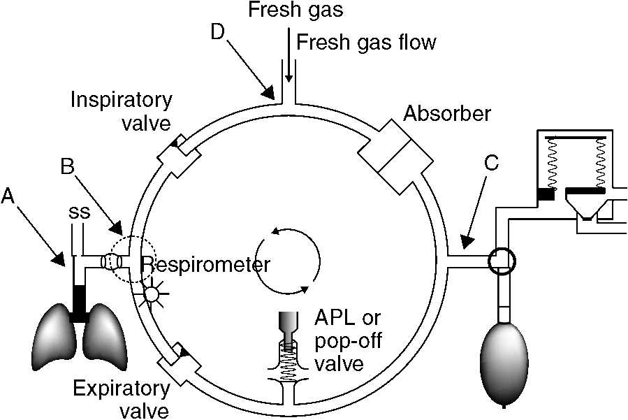anesthesia circuit diagram
