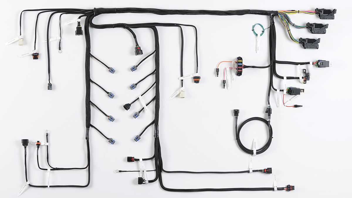 ls1 swap wiring diagram ls1 swap wiring diagram