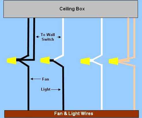 fan with light wiring diagram