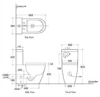 schematic diagram of a toilet