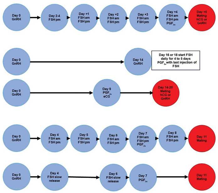 schematic diagram of developmental reading stages