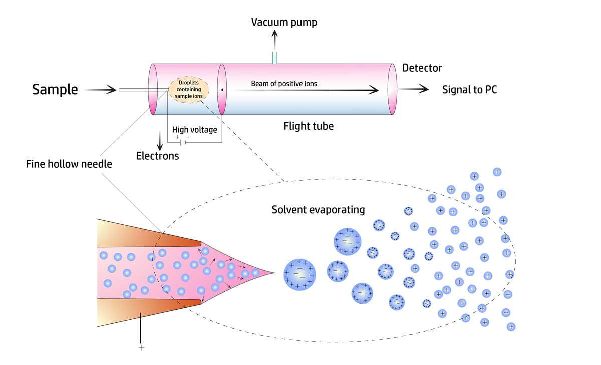 schematic diagram of mass spectroscopy
