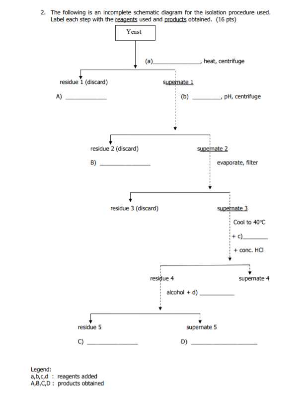 schematic diagram procedure