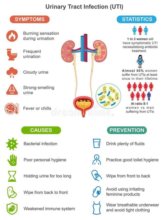 schematic diagram of urinary tract infection