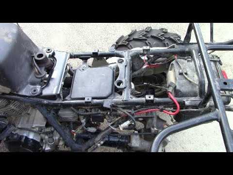 yamaha timberwolf 250 wiring diagram