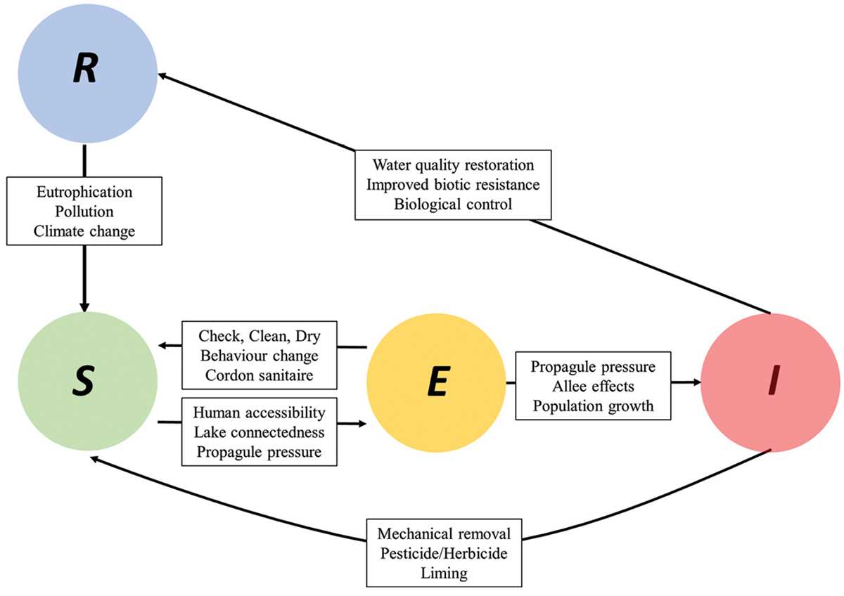 removal of polltants from the environment schematic diagram