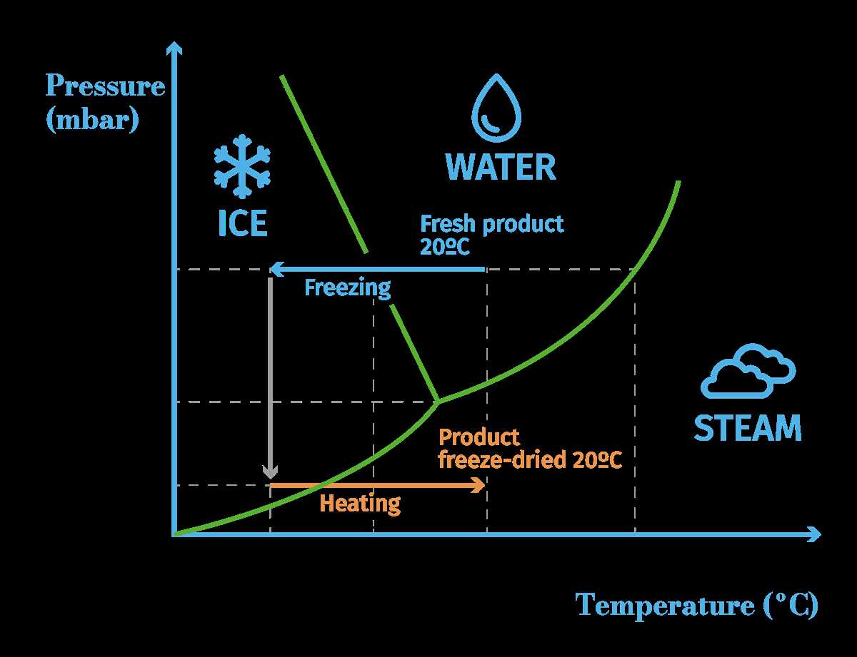 freeze dryer schematic diagram