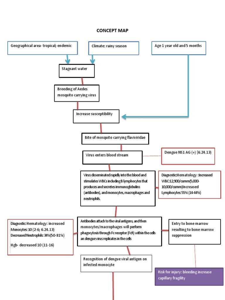dengue pathophysiology schematic diagram